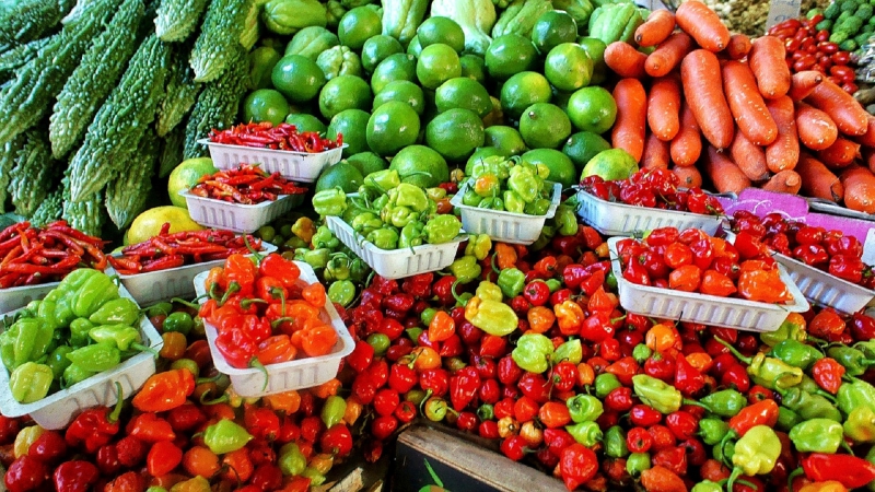 primeur-VALLAURIS-min_farmers-market-1329008