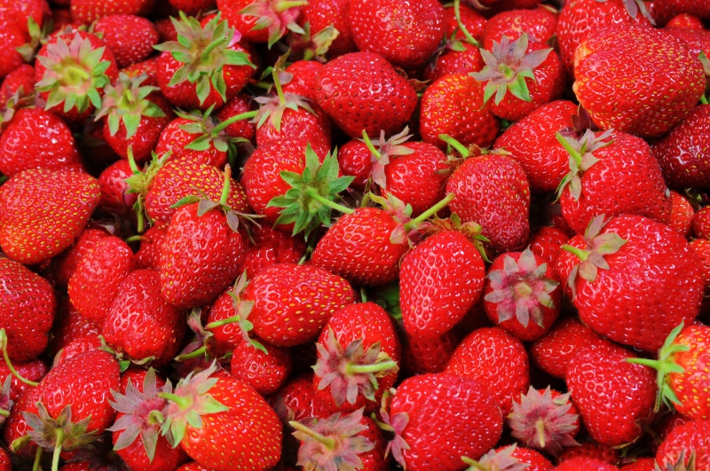 primeur-VALLAURIS-min_strawberries-528791